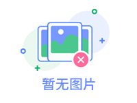 软件服务能力